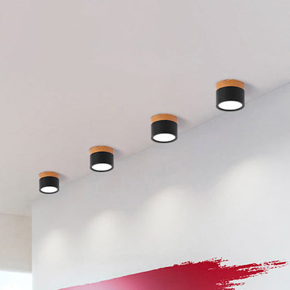 VibrantGlow - Petite lampe de plafond au style élégant