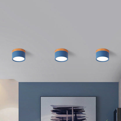 VibrantGlow - Petite lampe de plafond au style élégant