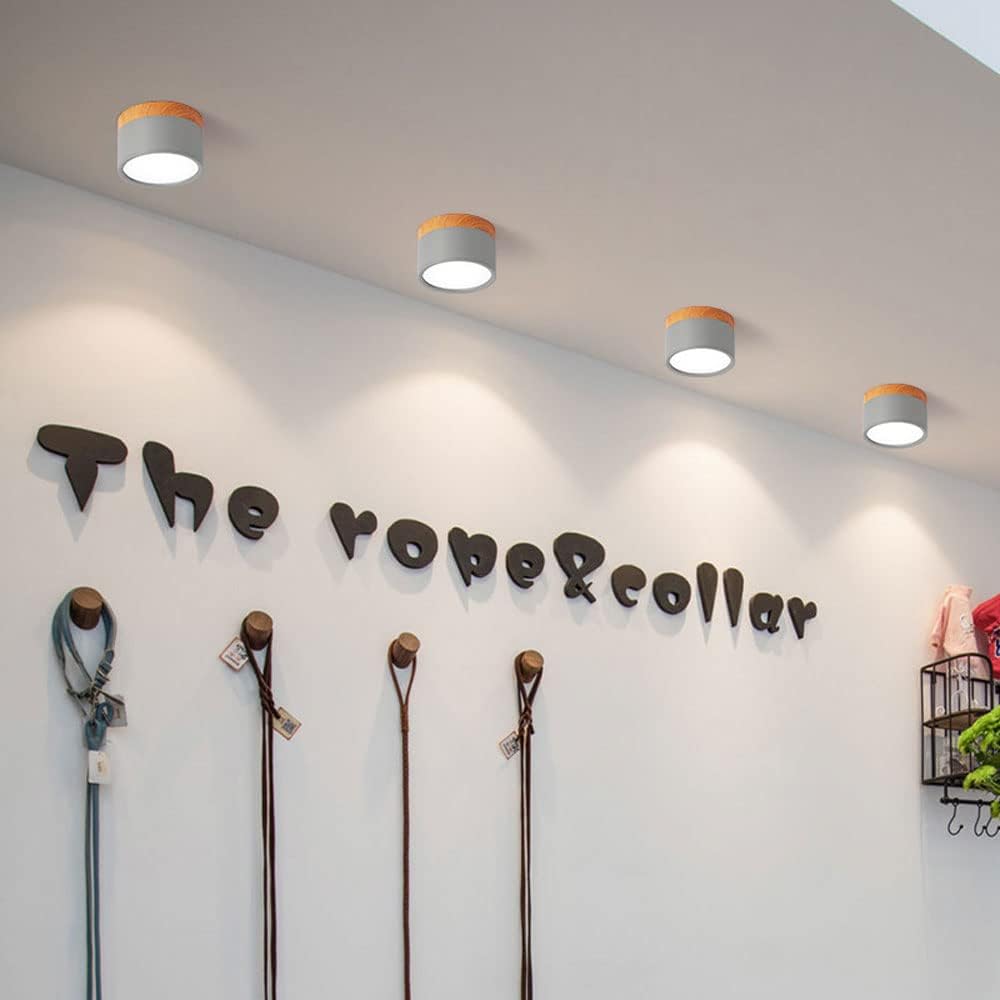 VibrantGlow - Petite lampe de plafond au style élégant