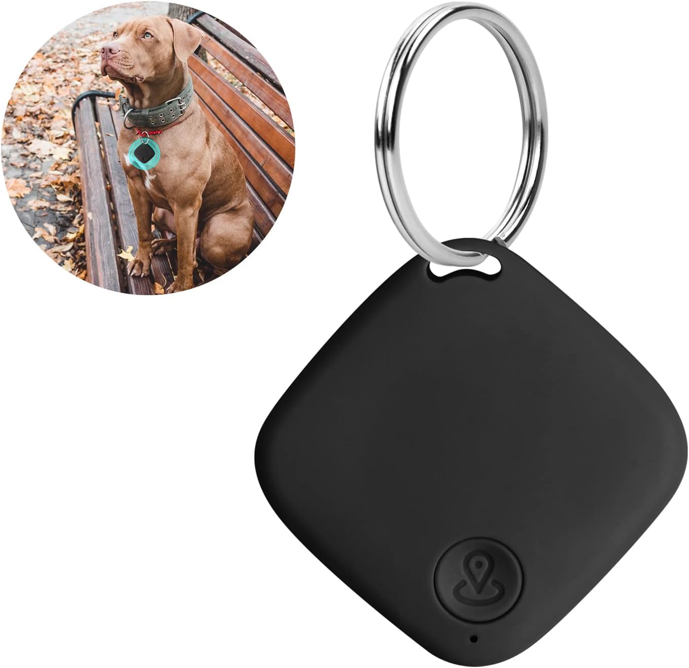 Traceur GPS Pour Chat et Chien - Pet Connect™