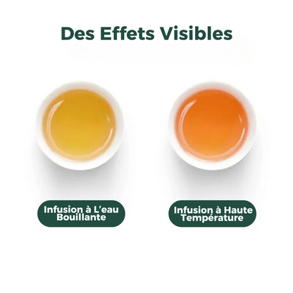Théière en Verre Électrique