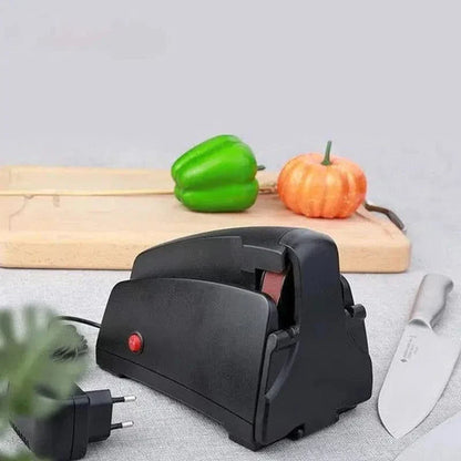 Aiguiseur Électrique en Acier Inoxydable avec Meule en Diamant