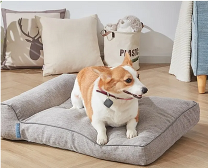 Traceur GPS Pour Chat et Chien - Pet Connect™