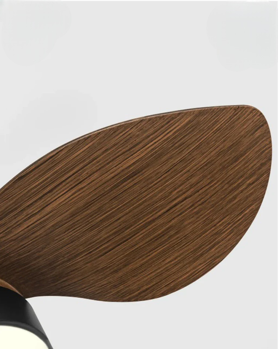 Trailblazer 18 Lumière du ventilateur de plafond