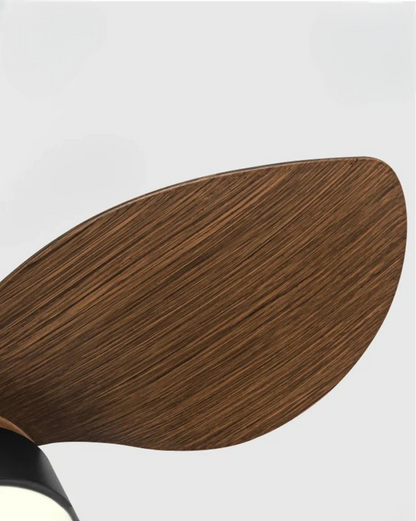 Trailblazer 18 Lumière du ventilateur de plafond