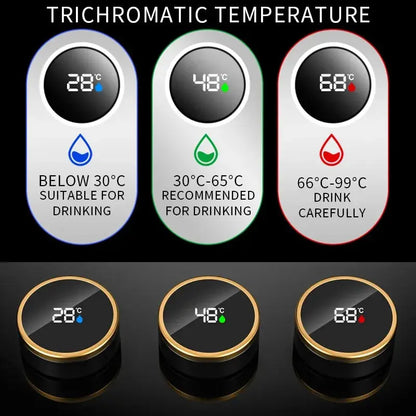 Théière japonaise 450 ml (Connectée)