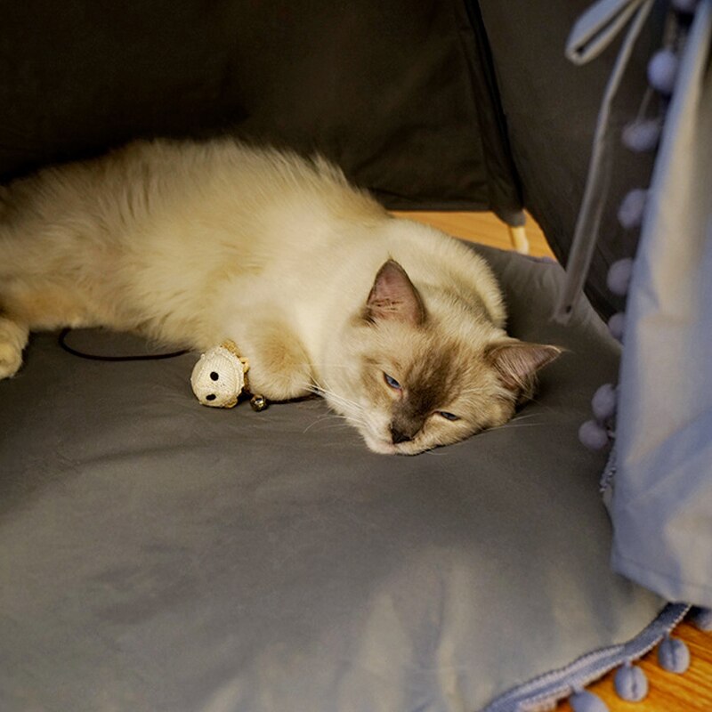 Tipi Chat pour Achat Cadeau