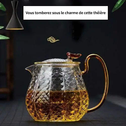 Belle Théière en Verre avec Filtre intégré