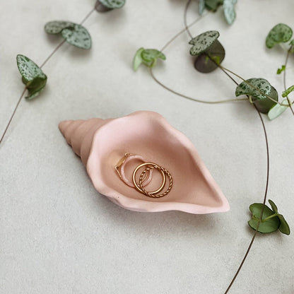 Coupelle escargot de mer en jesmonite