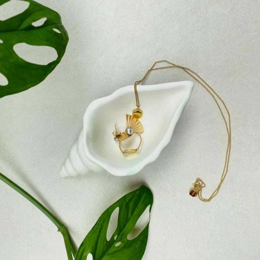 Coupelle escargot de mer en jesmonite