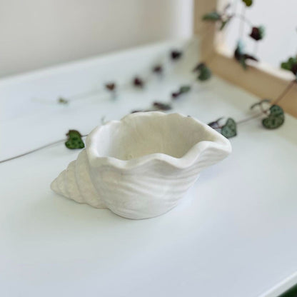 Coupelle escargot de mer en jesmonite