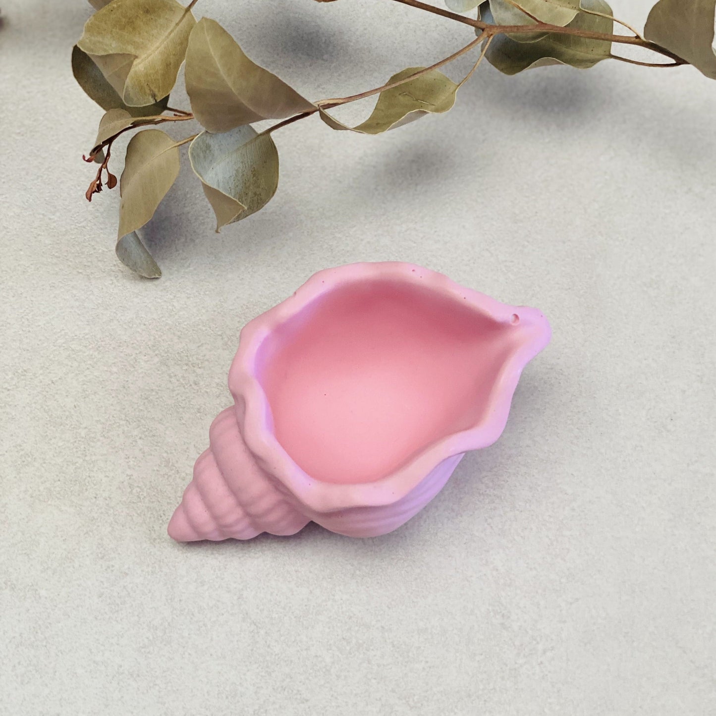 Coupelle escargot de mer en jesmonite