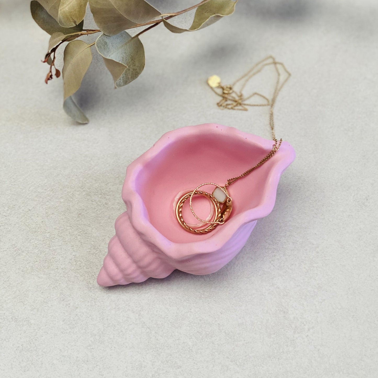 Coupelle escargot de mer en jesmonite