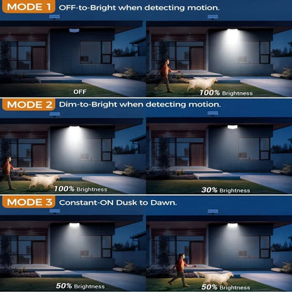 Applique murale exterieur solaire led - Raylux™