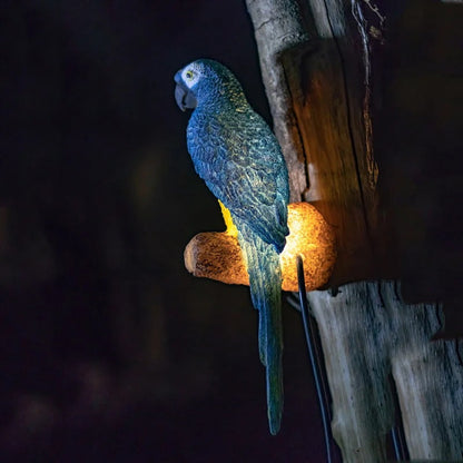 Applique Murale | PAGALO