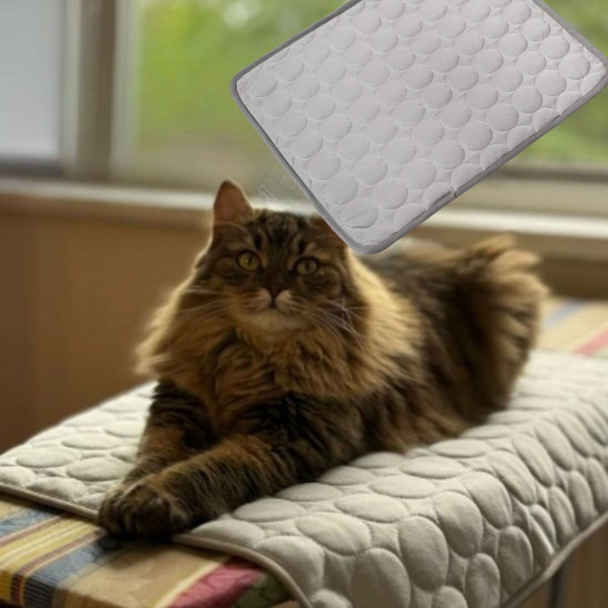 tapis-rafraichissant-chat-dodo-frais-gris-clair