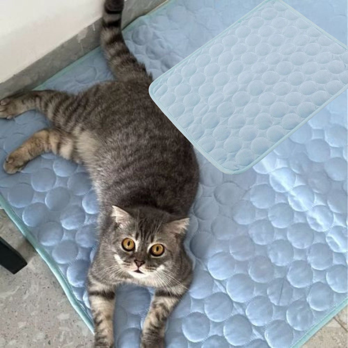 tapis-rafraichissant-chat-dodo-frais-bleu-clair