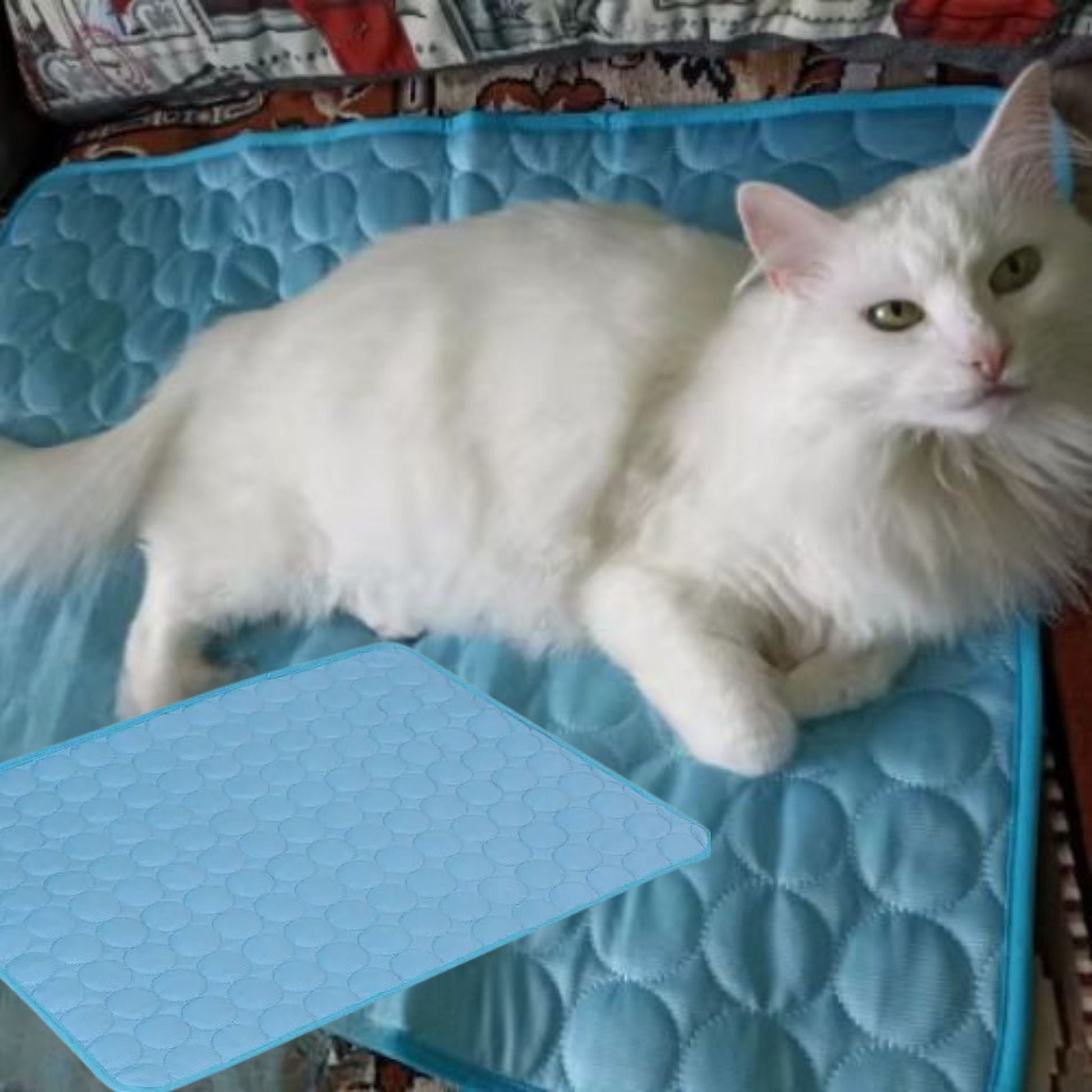 tapis-rafraichissant-chat-dodo-frais-bleu