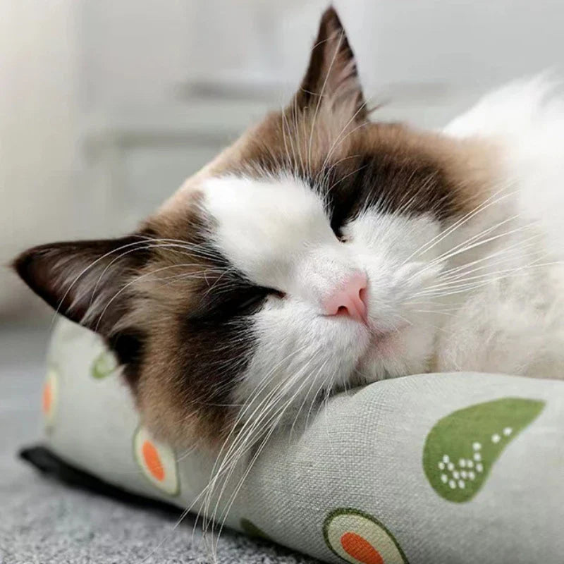 tapis rafraichissant chat |DODO REFRESHING