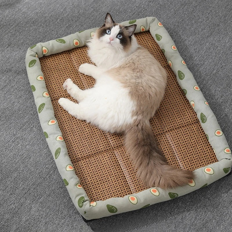 tapis rafraichissant chat |DODO REFRESHING