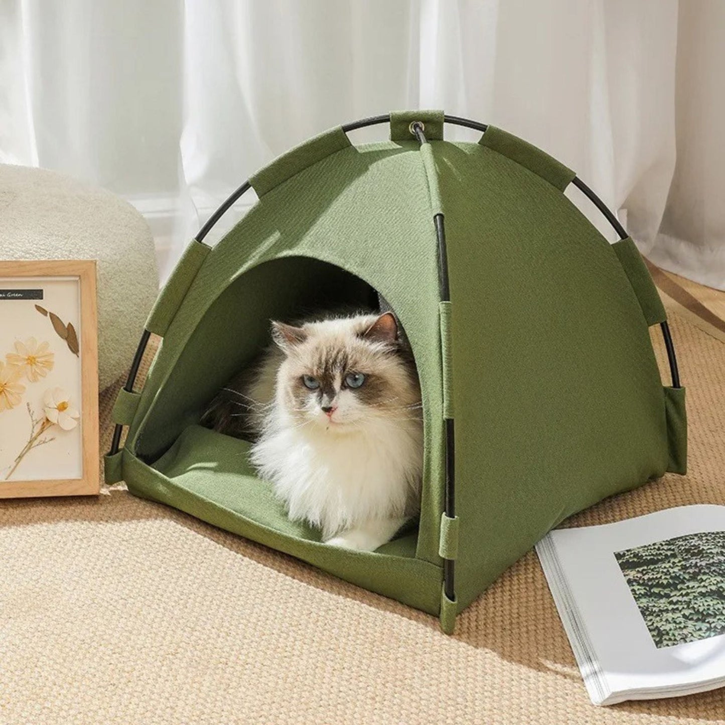 tente pour chat | KITTY TENT