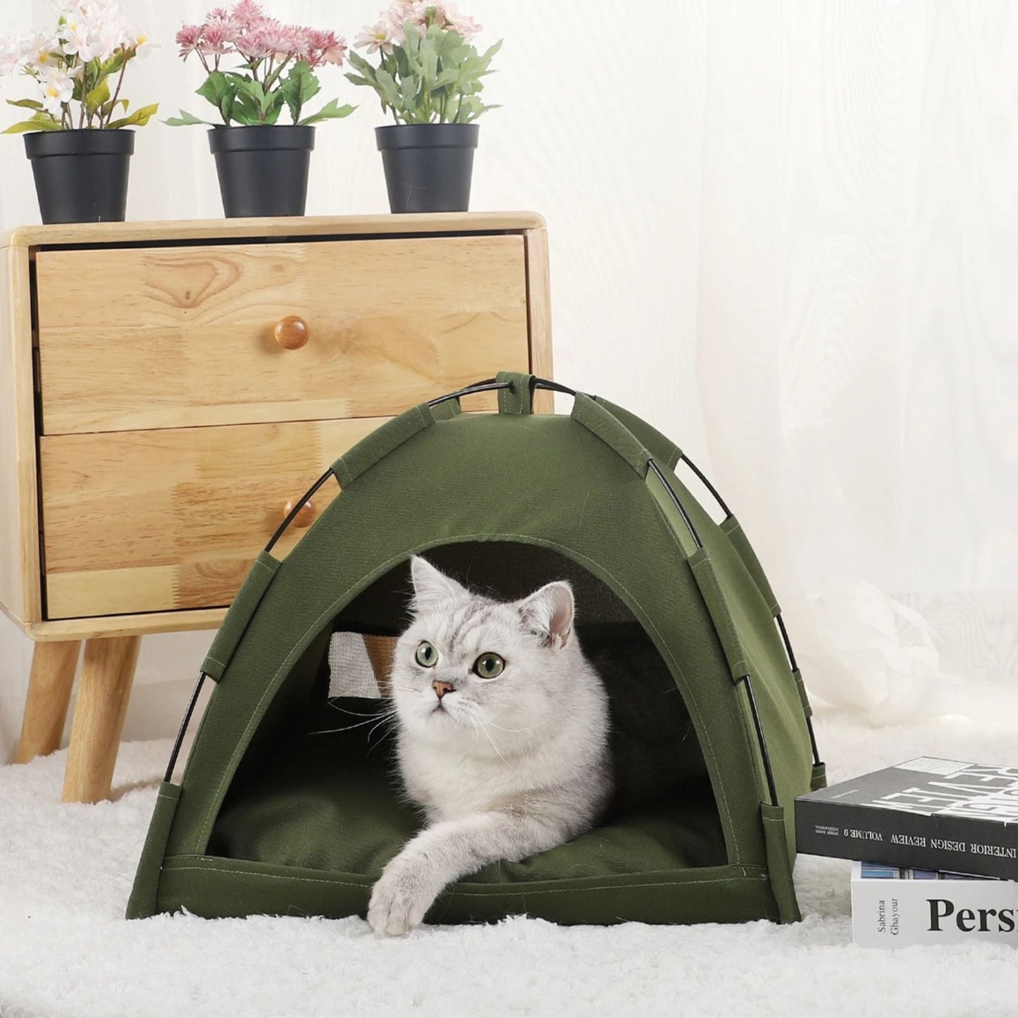 tente pour chat | KITTY TENT