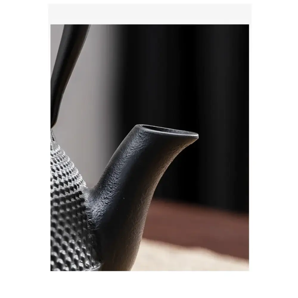 Théière en Fonte à Induction Style Granulé