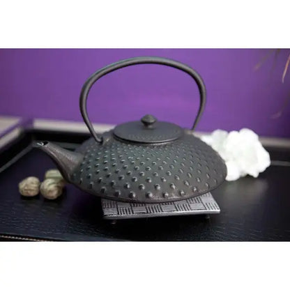 Théière en Fonte émaillée