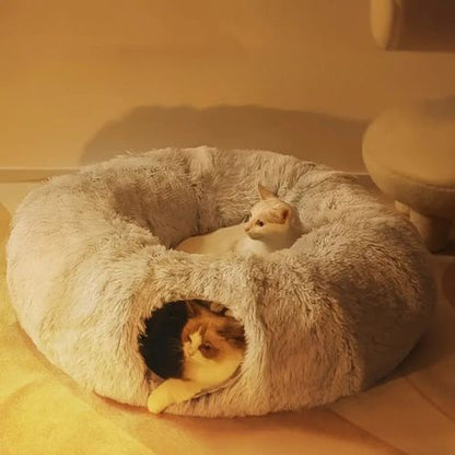 tunnel pour chat | DODOTUNNEL