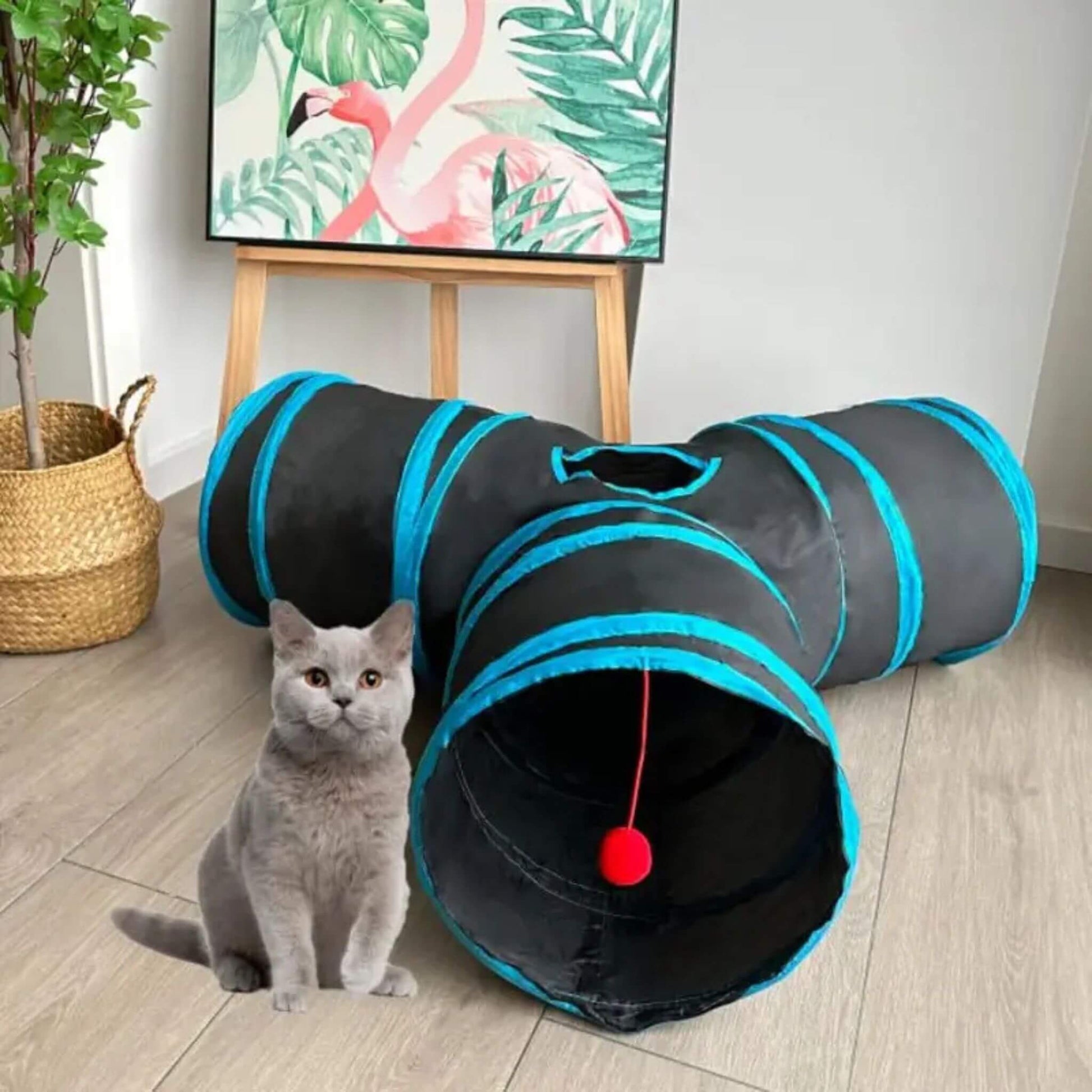 tunnel-pour-chat-3_bras